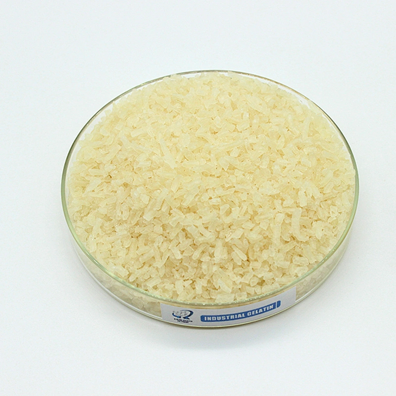 Hot Selling Food Grade Gelatin beef skin gelatin Powder CAS 9000-70-8 Halal Gelatin pharma use 160 180 bloom 8 mesh