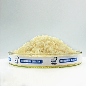 Hot Selling Food Grade Gelatin beef skin gelatin Powder CAS 9000-70-8 Halal Gelatin pharma use 160 180 bloom 8 mesh
